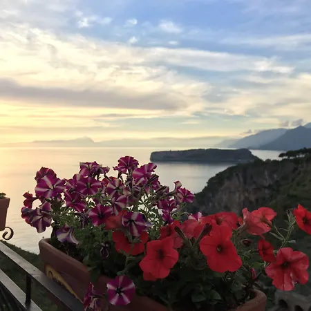 La Casa Di Ivana 3*