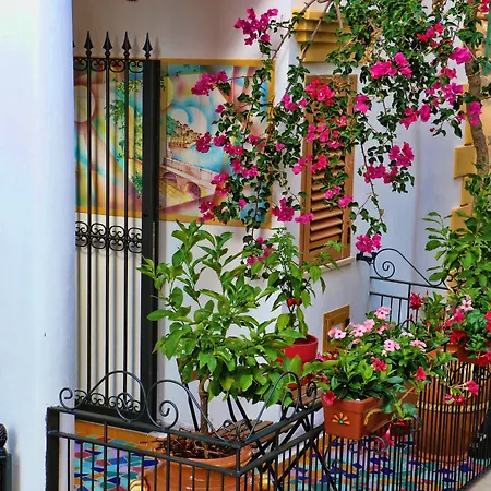 La Casa Di Ivana 3*