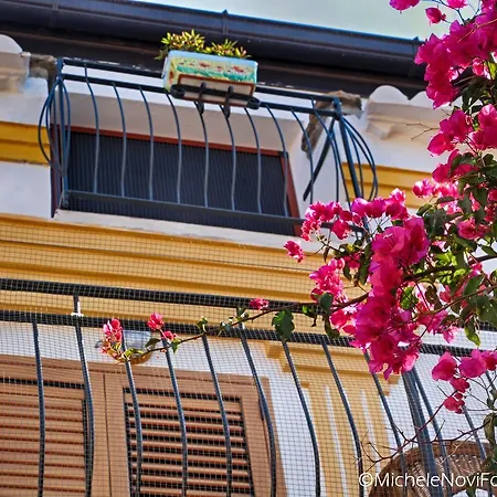 Bed & Breakfast La Casa Di Ivana 3*